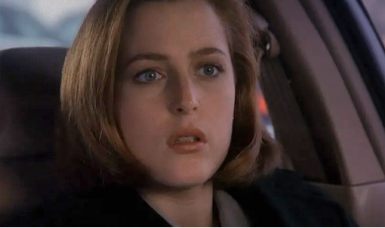 Gillian Leigh Anderson nasceu em Chicago, no dia 9 de agosto de 1968, sendo eleita, em 1997, pela revista People como uma das "50 Pessoas Mais Bonitas do Mundo". A atriz tem três filhos: Oscar, Felix Griffiths e Clyde Klotz e mora em Londres, atualmente.