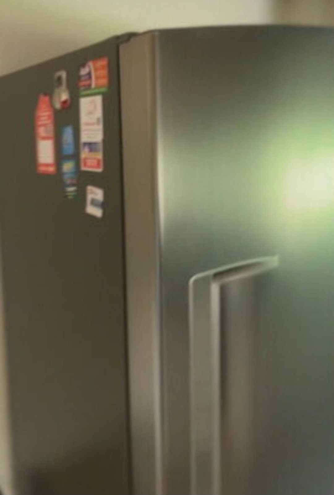 Estudante carioca abre a geladeira e encontra um macaco-prego