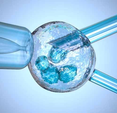 A identificaÃ§Ã£o da incompatibilidade genÃ©tica do casal ocorreu durante testes com embriÃµes gerados no processo de fertilizaÃ§Ã£o in vitro. 

