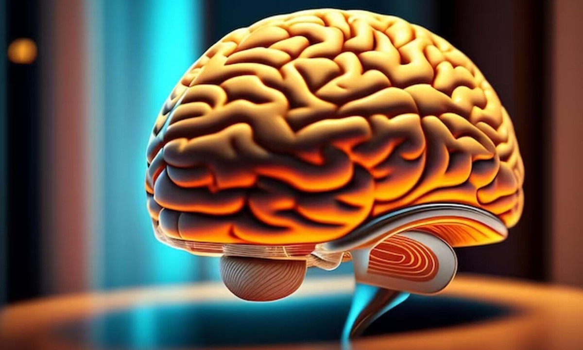 Estudo encontra novas respostas de como cérebro desvenda problemas complexos - Freepik