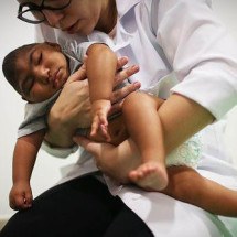 A partir de 2015, o Aedes passou a ser o transmissor de um vírus recém-chegado ao Brasil: o zika -  (crédito: Getty Images)