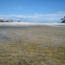 Itacaré, na Costa do Cacau, atrai turistas com suas praias paradisíacas  - Carlos Altman/EM/D.A Press - Itacare - BA. Praia da de Jeribucacu. - A cidade de Itacare na Bahia possui diversas praias totalmente desertas. Um paraiso intocavel que aos poucos se desperta para o ecoturismo. Uma cidade que tem uma vida noturna agitada, bons restaurantes e gente bonita e, com isto, passa atrair turistas do mundo inteiro.