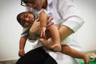 USP: pesquisa de vacina contra zika avança em testes com camundongos