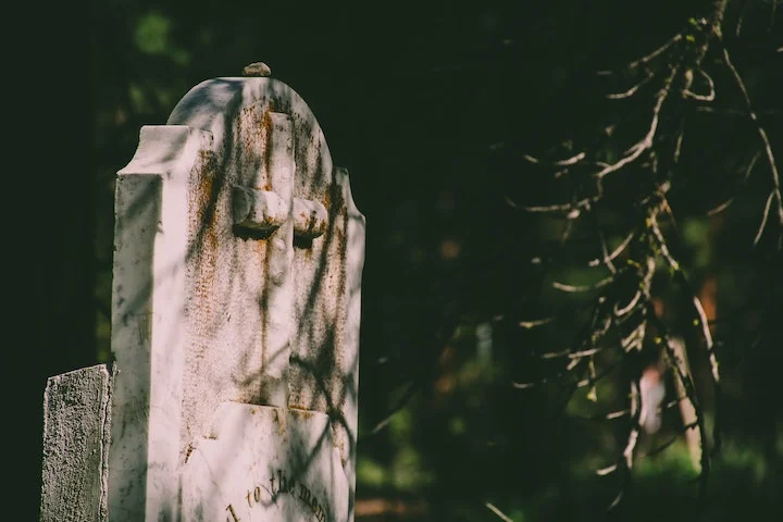 O desenvolvimento de um procedimento que tentaria "enganar a morte" tem gerado  um intenso debate na Alemanha e no meio científico em geral. -  (crédito: Brett Sayles por pexels)