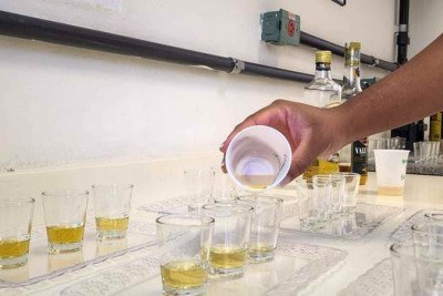 A iniciativa é voltada a produtores e engarrafadores com estabelecimentos registrados no Ministério da Agricultura e localizados no estado -  (crédito: Emater-MG/Divulgação)
