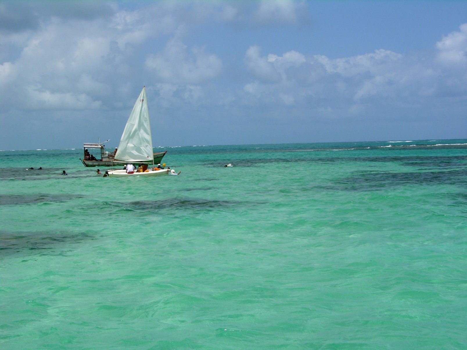 Maragogi (AL)   
      - Marina Amazonas/CB. Banco de corais em Maragogi.       