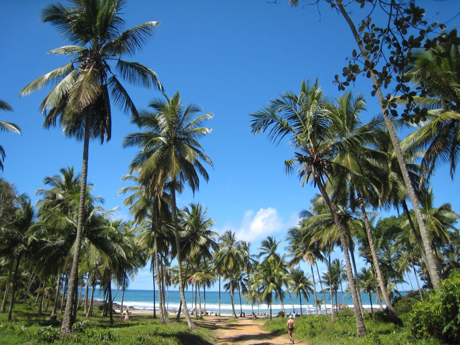  Itacaré (BA)
- Carlos Altman/EM/D.A Press - Itacare - BA. Praia do Resende. - A cidade de Itacare na Bahia possui diversas praias totalmente desertas. Um paraiso intocavel que aos poucos se desperta para o ecoturismo. Uma cidade que tem uma vida noturna agitada, bons restaurantes e gente bonita e, com isto, passa atrair turistas do mundo inteiro.