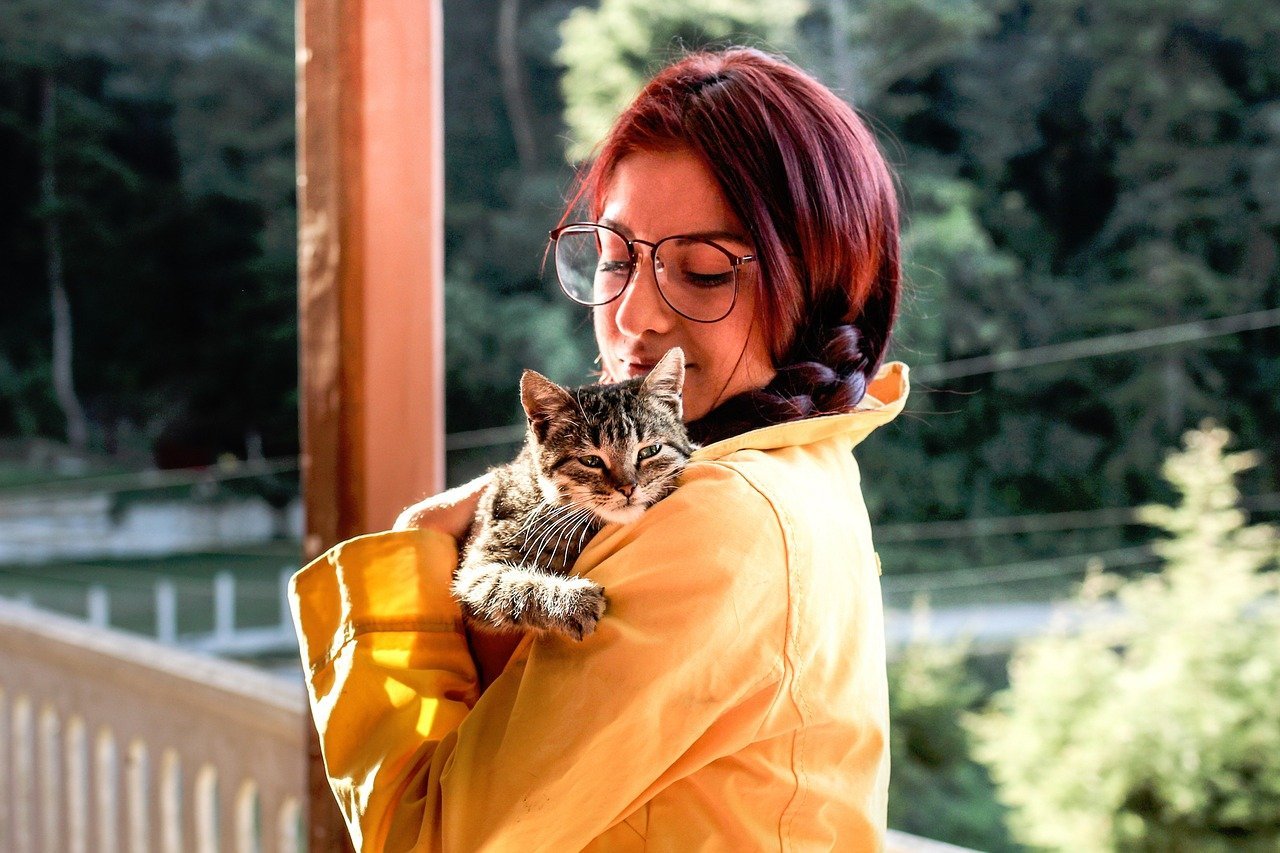 Além disso, a demanda por produtos especializados para felinos, como arranhadores, brinquedos e locais elevados, também aumentou, visando garantir o bem-estar desses animais.  