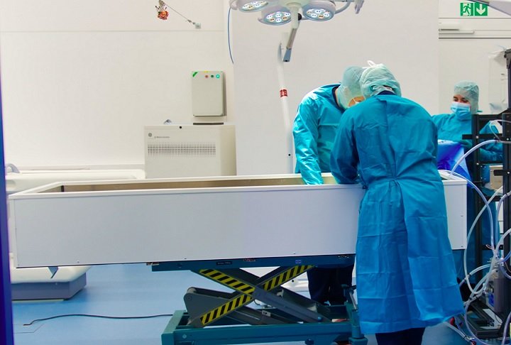 Agora, a Tomorrow Bio visa preservar estruturas neurais e alcançar a criopreservação reversível até 2028. "Estou bastante confiante em dizer que a probabilidade é maior do que a cremação, se não houver mais nada", ressaltou Kendziorra.