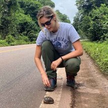 Passagens exclusivas para animais nas estradas previnem acidentes e salvam motoristas - Instagram @nanda_abra
