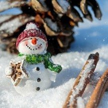 Pra quem não viu: Em cidade com 53 graus negativos, ovo congela assim que quebra - Couleur por Pixabay 