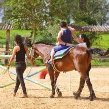 Equoterapia: cavalos ajudam na saúde dos humanos -  Divulgação