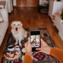 Decoração afetiva: como usar fotos e lembranças dos pets no lar - evablancophotos