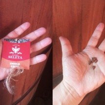Marca lança cachaça apostando em campanha de sustentabilidade - Reprodução/Seleta
