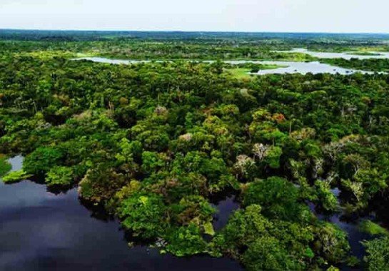 Reprodução do X @abcdusp