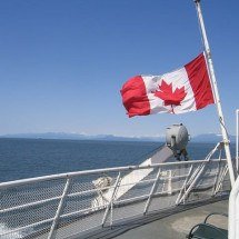 Cidades onde nasceram celebridades canadenses que alcançaram sucesso internacional - Imagem de CactusCamera por Pixabay


