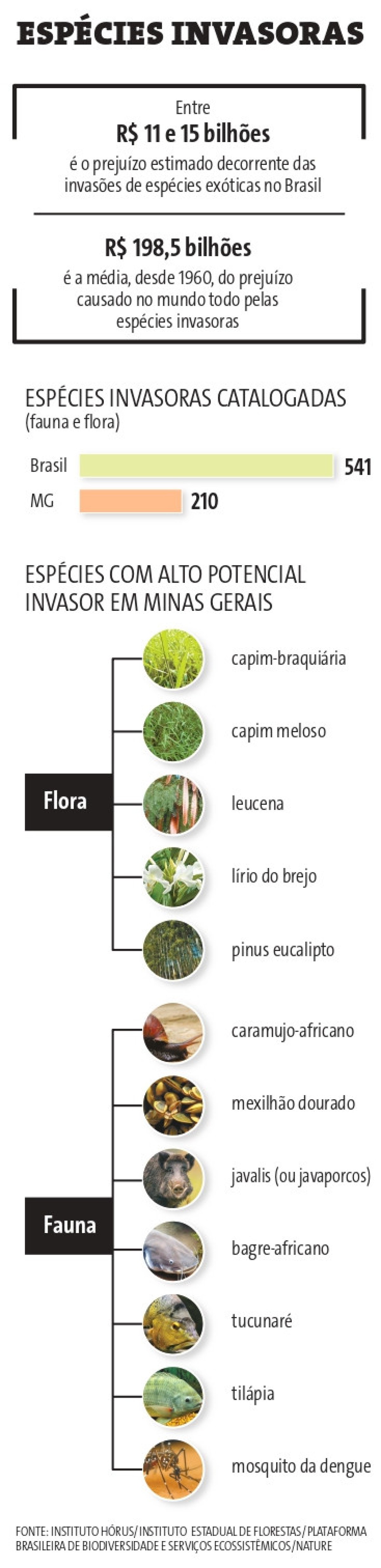 O prejuízo estimado com espécies invasoras no Brasil é entre R$ 11 bilhões e R$ 15 bilhões.