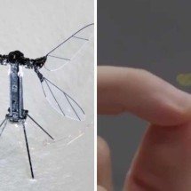 Chineses criam ‘drone mosquito’ para operações militares  -  CCTV 