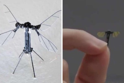 Microdrone do tamanho de um mosquito promete revolucionar ações chinesas -  (crédito:  CCTV )