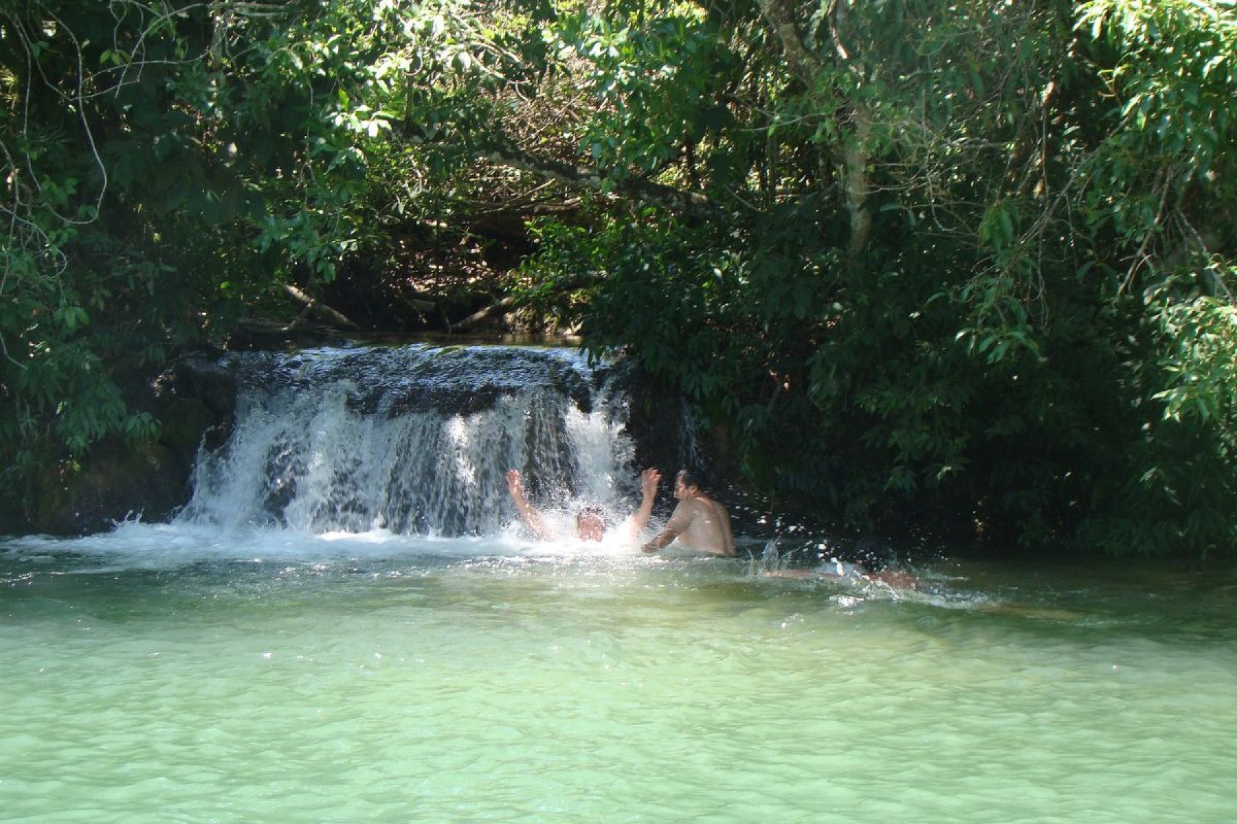 Bonito Bonito