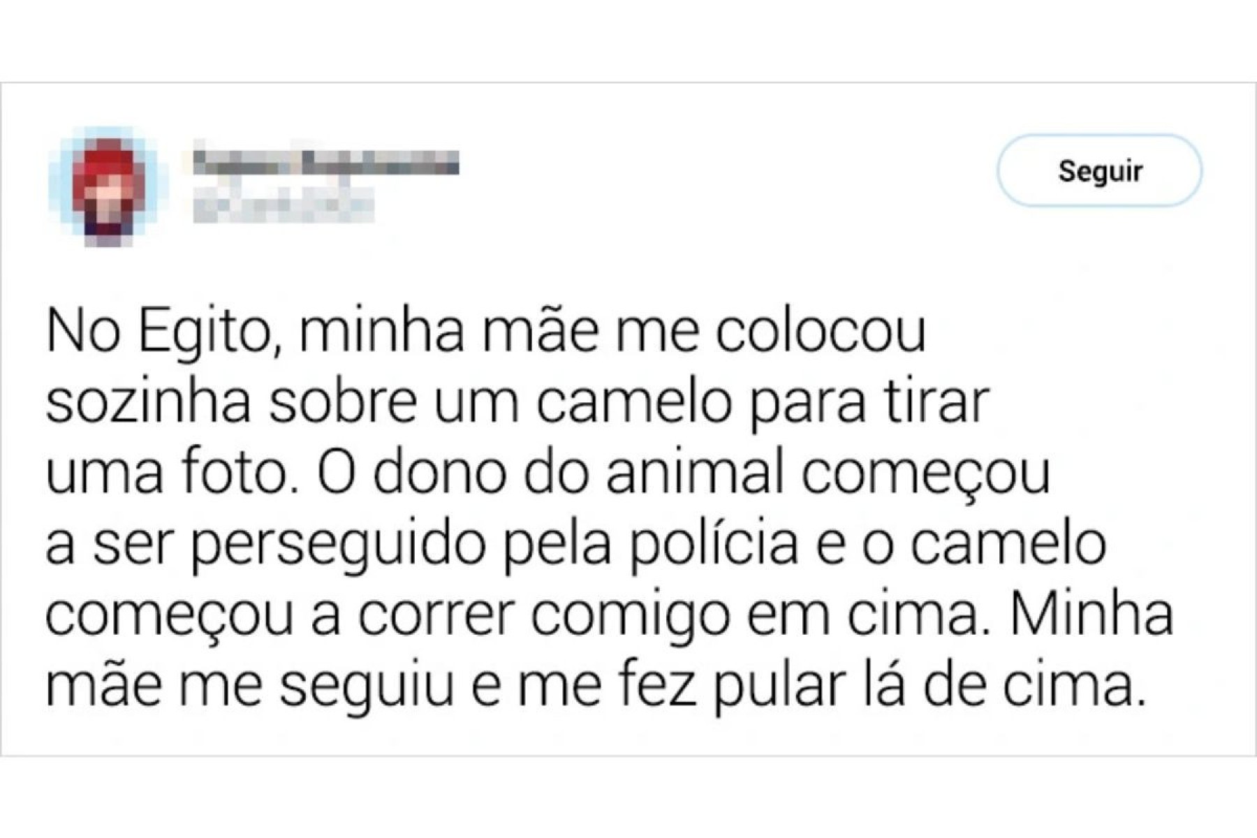 Perseguição de camelo