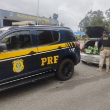 MG: trio é preso saqueando cerveja de carreta depois de acidente na BR-381 - PRF