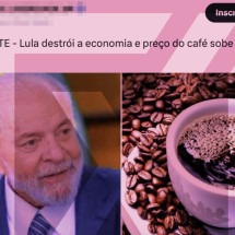 Alta no preço do café se deve ao tempo e não a medidas do governo Lula - Reprodução/Comprova