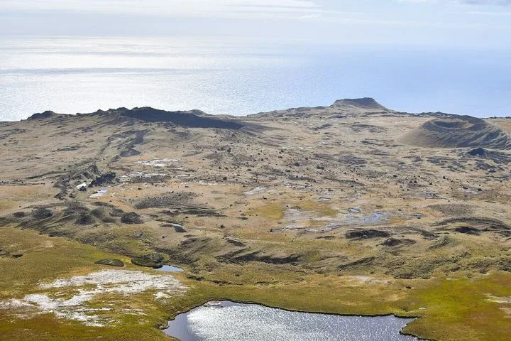 Gado introduzido em ilha do Oceano Índico se adaptou a condições inóspitas e foi abatido - Wikimedia Commons/Antoine Lamielle