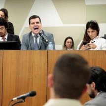 Engler chama adversários de 'nazistas' e deputada vai ao Conselho de Ética - Alexandre Netto/ALMG