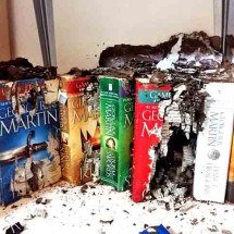 Previna-se e elimine cupins; praga caseira tem vários tipos -  Reprodução de Facebook INQUIRER.net