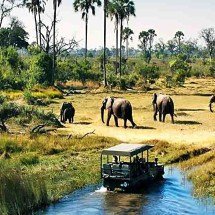 Safáris que deixam turistas cara a cara com animais ferozes -  Flickr Primate Safaris