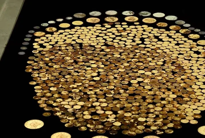 Tirou a sorte grande: Fazendeiro encontra moedas de ouro no "quintal" - Reprodução/NCG Coins