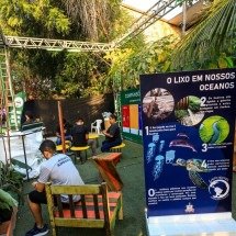 Festivais sustentáveis: o que são e por que é importante valorizá-los
