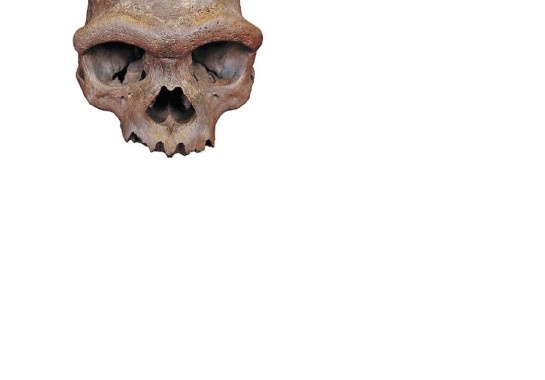 Fragmentos de proteínas mostram passado humano
