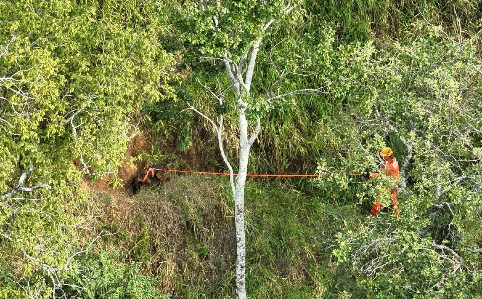 Corpo de ambientalista é encontrado em mata no interior de Minas - Divulga&ccedil;&atilde;o / Corpo de Bombeiros