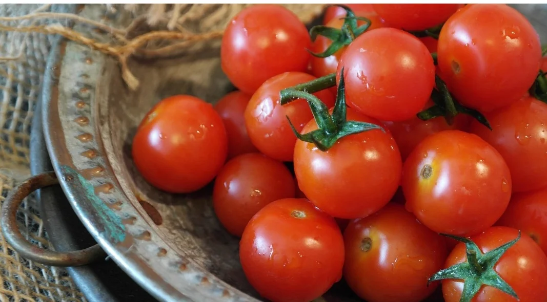 Tomate: funcional, ajuda na prevenção do câncer e no controle de diabetes - Pixabay