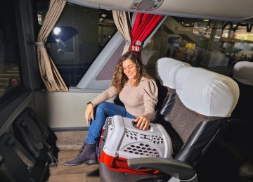Ficam proibidos, pela nova norma estadual, o transporte de animais silvestres ou exóticos -  (crédito: crédito: Jair Amaral /EM/D.A Press)
