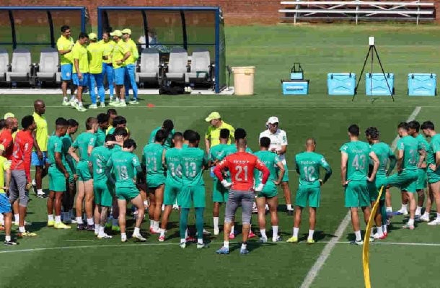 Palmeiras deve ter novidade contra o Botafogo pelo Mundial Palmeiras deve ter novidade contra o Botafogo pelo Mundial