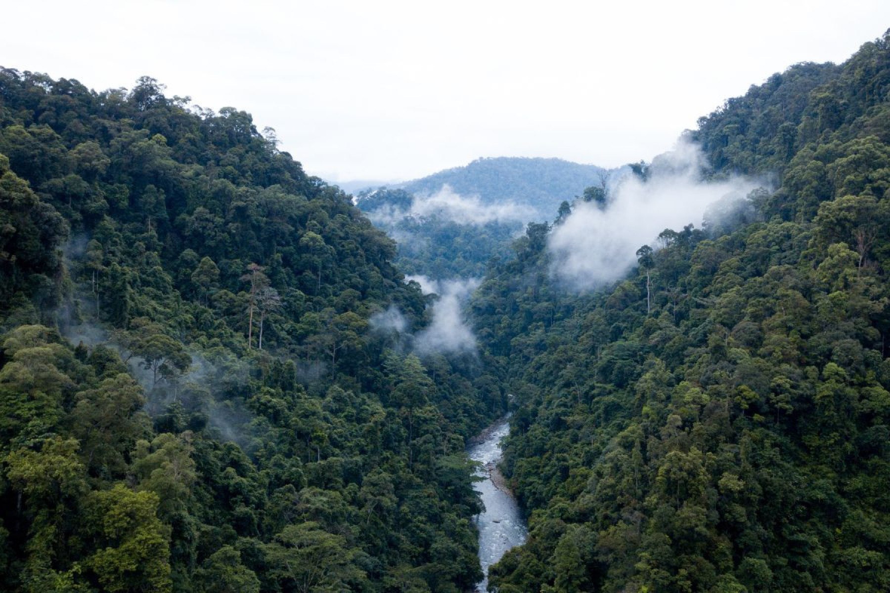 Sumatra (Indonésia)-Sophie Dover de Getty Images