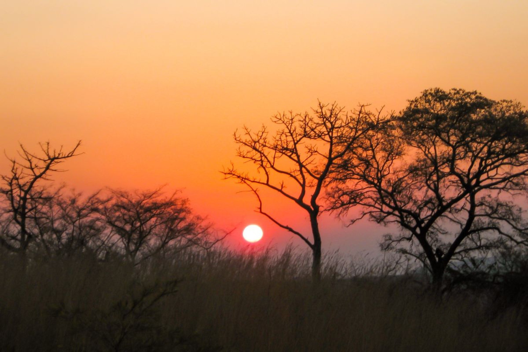 Parque Nacional Kruger (África do Sul)-arieke Peche de Getty Images