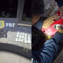 Grande BH: PRF apreende haxixe escondido em tanque de combustível na BR-381 - Divulgação/PRF