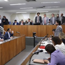 CCJ pode votar fim do referendo para privatizações nesta segunda (30/6) - Daniel Protzner/ALMG