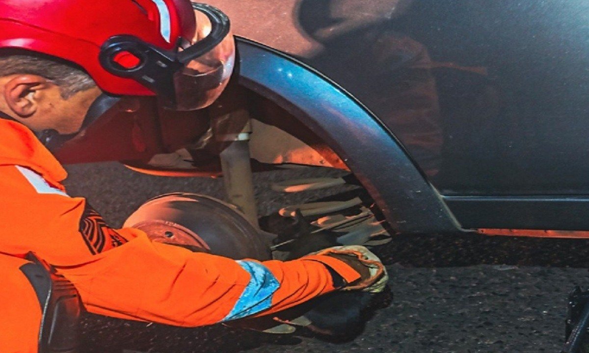 Filhote de gato ficou preso junto à roda traseira direito do carro -  (crédito: CBMMG)