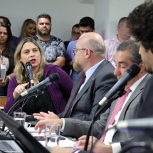 ALMG: novo adiamento freia fim de referendo para venda de Cemig e Copasa - Henrique Chendes/ALMG