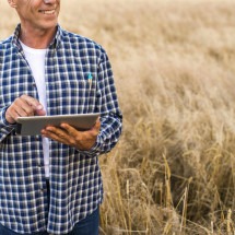 Pagamento rural exige atenção à segurança jurídica - DINO