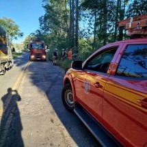Jovem morre em capotamento de carro em Juiz de Fora - Divulgação/CBMMG