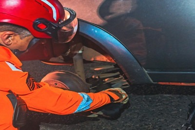 Filhote de gato ficou preso junto à roda traseira direito do carro -  (crédito: CBMMG)