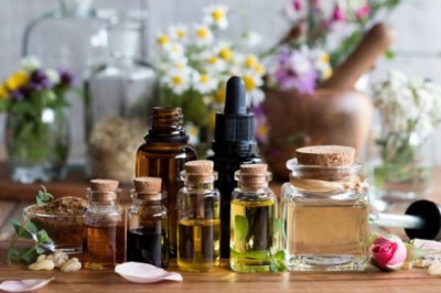 Por meio do uso seguro e consciente de óleos essenciais extraídos das plantas, é possível criar uma atmosfera de calma -  (crédito: Literare Books International/Divulgação)