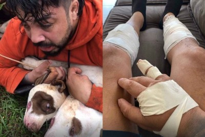 Mestre de Muay Thai é atacado e imobiliza dois pitbulls fêmea em Ponta Porã -  (crédito: Reprodução/Instagram (@bocaomuaythai_ernesto))