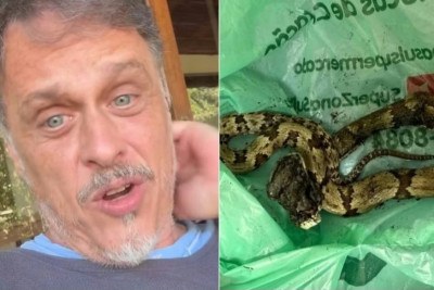O ator Guilherme Fontes, que fez sucesso em novelas da Globo, foi picado por uma cobra e postou nas redes sociais. Ele disse que a jararaca entrou em sua casa e deixou duas bolhas no seu dedo indicador. "Doeu que nem sei explica', disse o ator.  -  (crédito: Reprodução Instagram )